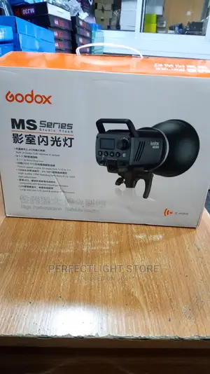 Ms 300 Light
