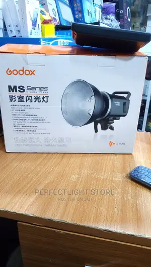 Ms 300 Light