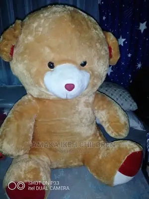 Adult and Children Teddy Bear 5ft