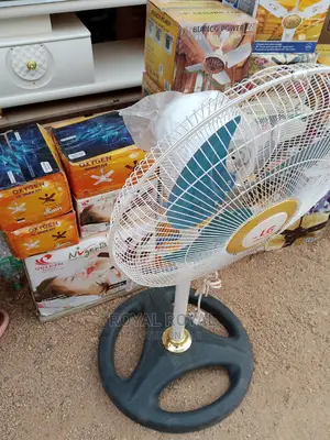 Powerful LG 18" High Velocity Standing Fan