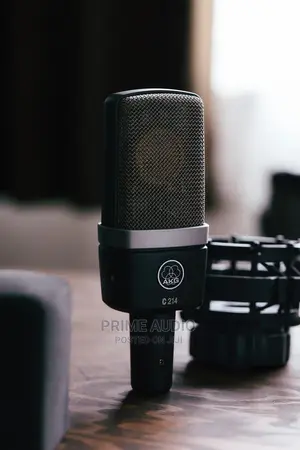 AKG C214 Studio Dual Capsule True Condenser Microphone