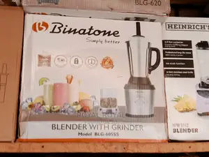 Outstanding Binatone Blg-605ss Blender