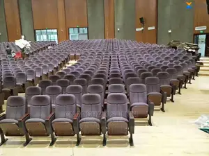 Auditorium Chairs