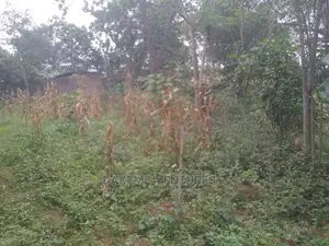 2 Plots Of Lands At Iyesi Ota For Sale