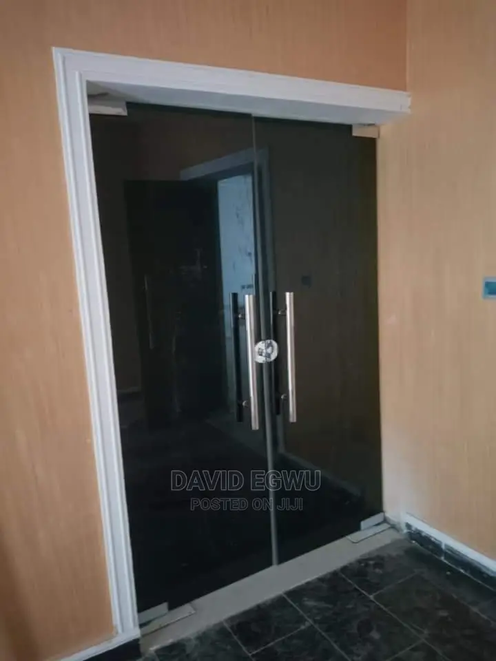 Frameless Glass Door
