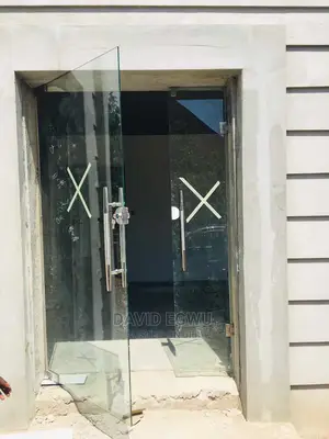 Frameless Glass Door