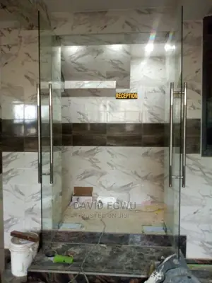 Frameless Glass Door