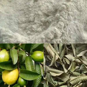 Gauva Leaf Powder