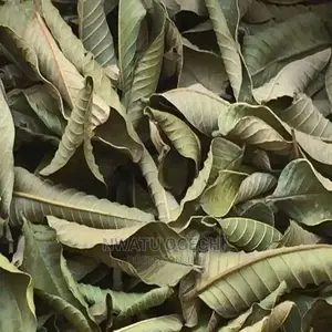 Gauva Leaf Powder