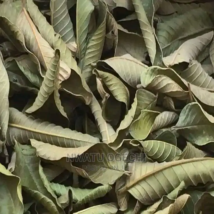 Gauva Leaf Powder