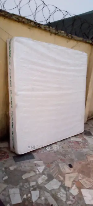 Foam at Affordable Price