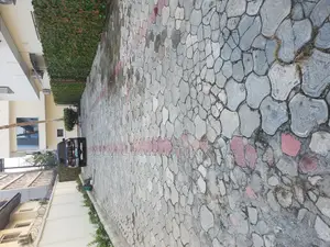 Interlock Pressure Cleaning/Washing