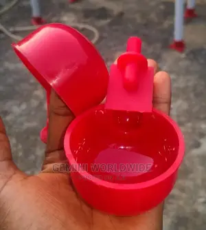Bird Cup Drinker