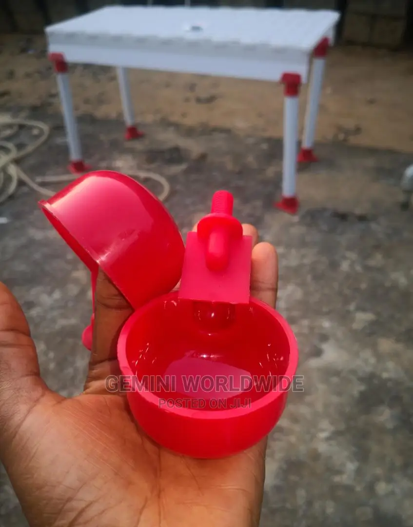 Bird Cup Drinker
