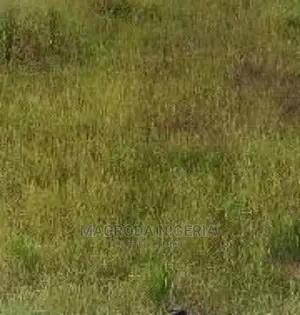 942sqm Land For Sale at Divine Estate Amuwo Odofin