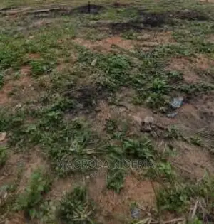 939sqm Land For Sale at Divine Estate Amuwo Odofin