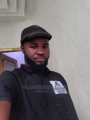 Proffesional House Painting/Wall Screeding/Interior Design in Lekki