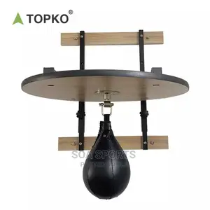 Boxing Speed Ball