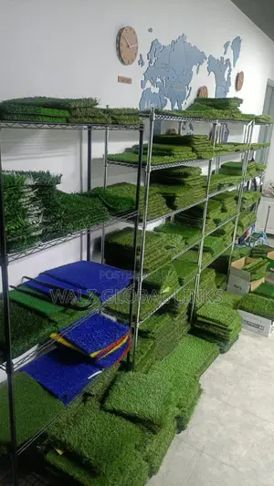 Carpet Grass