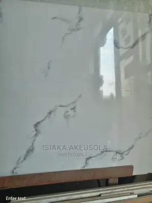 60 X 60 Polished Floor Tiles