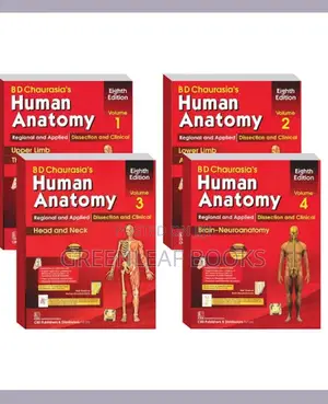 Human Anatomy