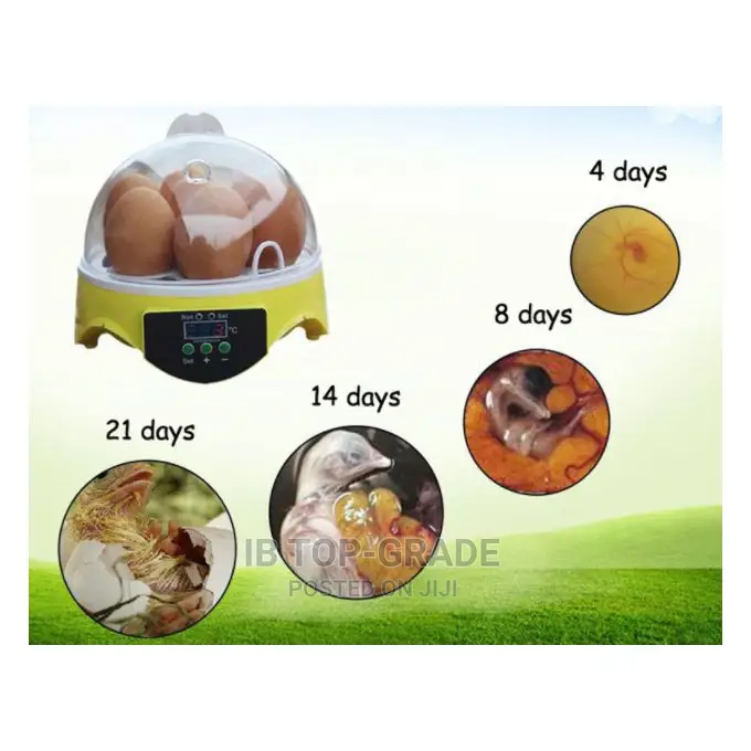 Automatic Intelligent 7eggs Quail Parrot Brooder Incubator