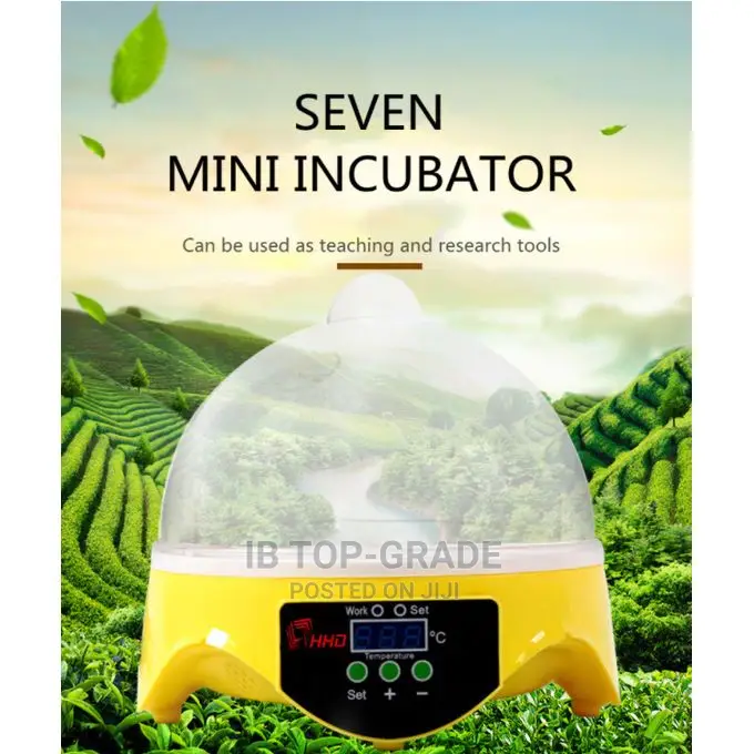 Automatic Intelligent 7eggs Quail Parrot Brooder Incubator