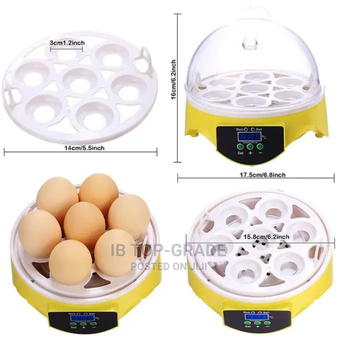 Automatic Intelligent 7eggs Quail Parrot Brooder Incubator