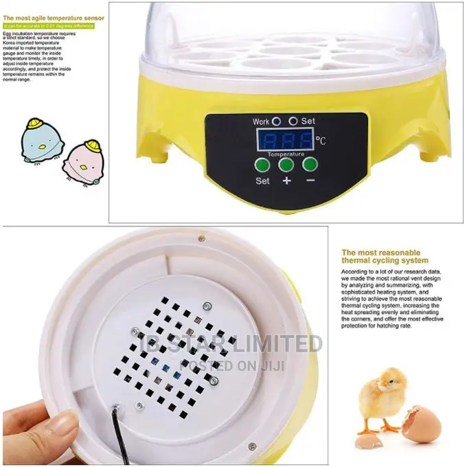 Brooder Machine 7pcs Full Eggs Quail Automatic Incubator