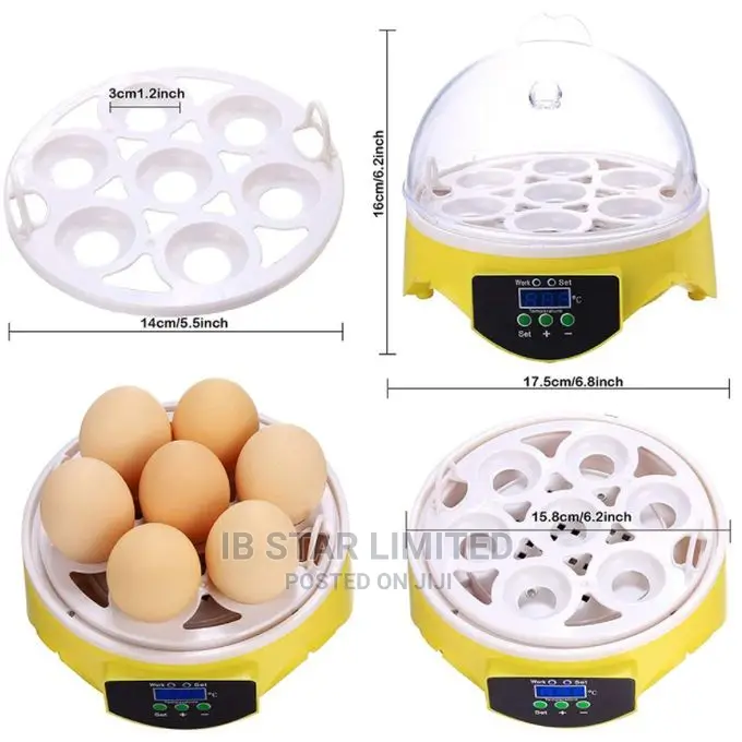 Brooder Machine 7pcs Full Eggs Quail Automatic Incubator