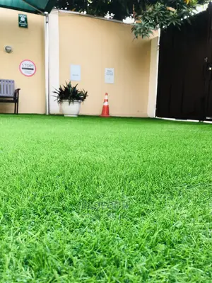 25mm Green Grass Rugs