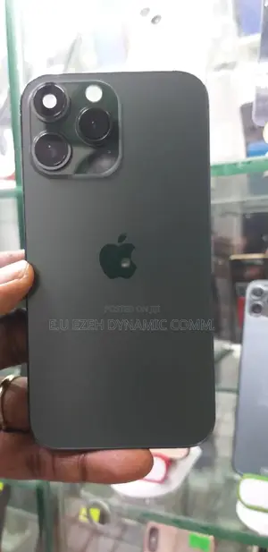 13 Pro Casing