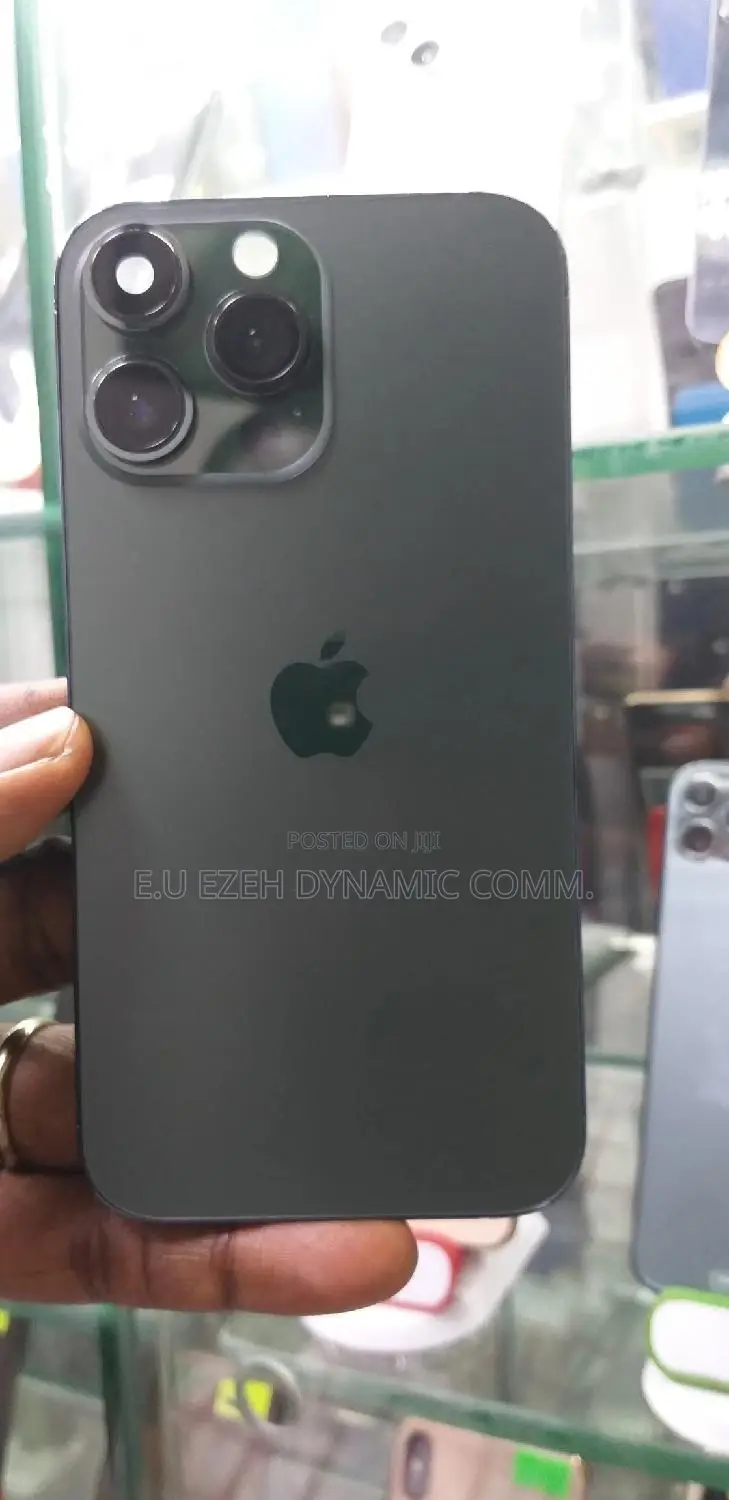 13 Pro Casing