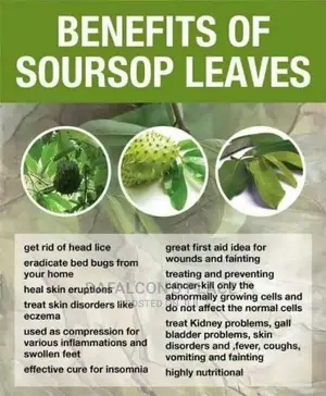 Soursop Leaves, Hibiscus, Avocado Seed Powder