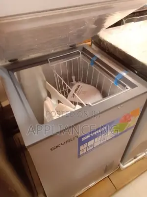 Skyrun 100L Freezer