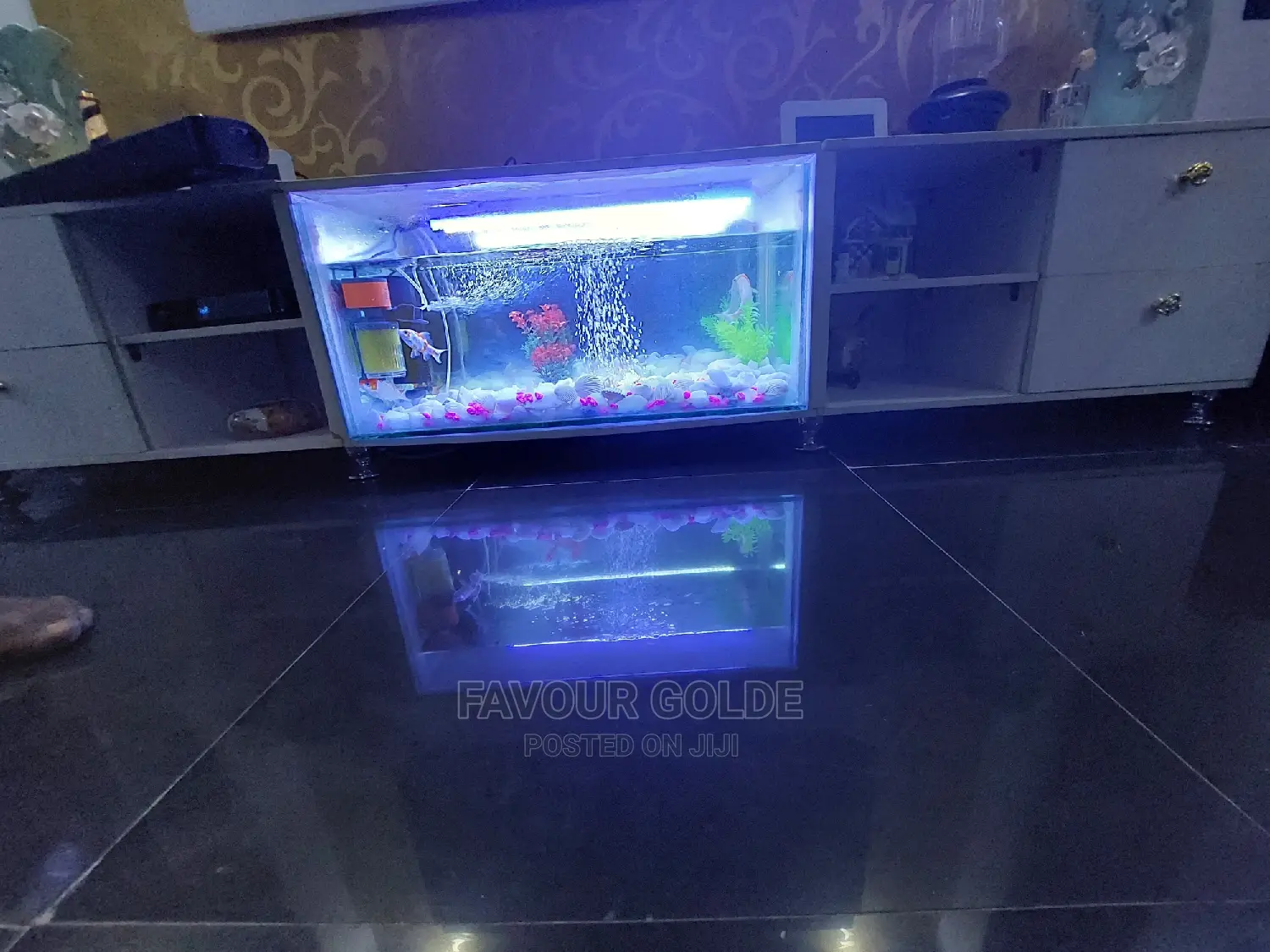 Tv Counsel Aquarium