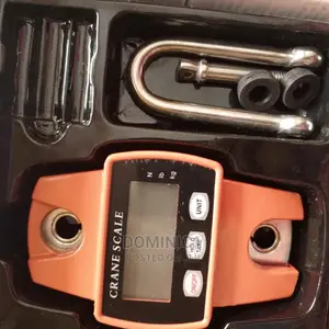300kg Mini Crane Scale
