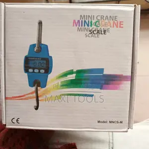 300kg Mini Crane Scale