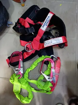 Body Harness