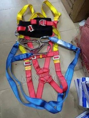 Body Harness