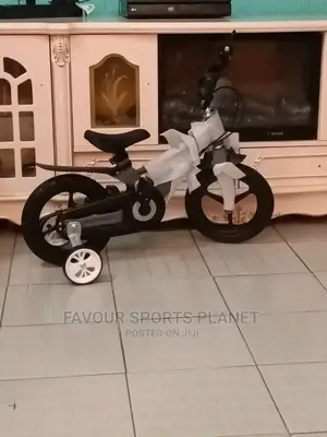 Executive Kids Bicycle Available at Sports Planet Ph
