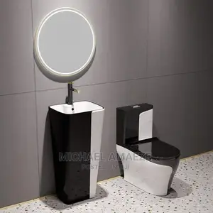 Black and White WC