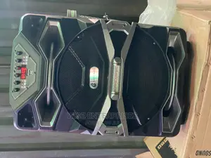 15 Inches Rechargeable Speaker