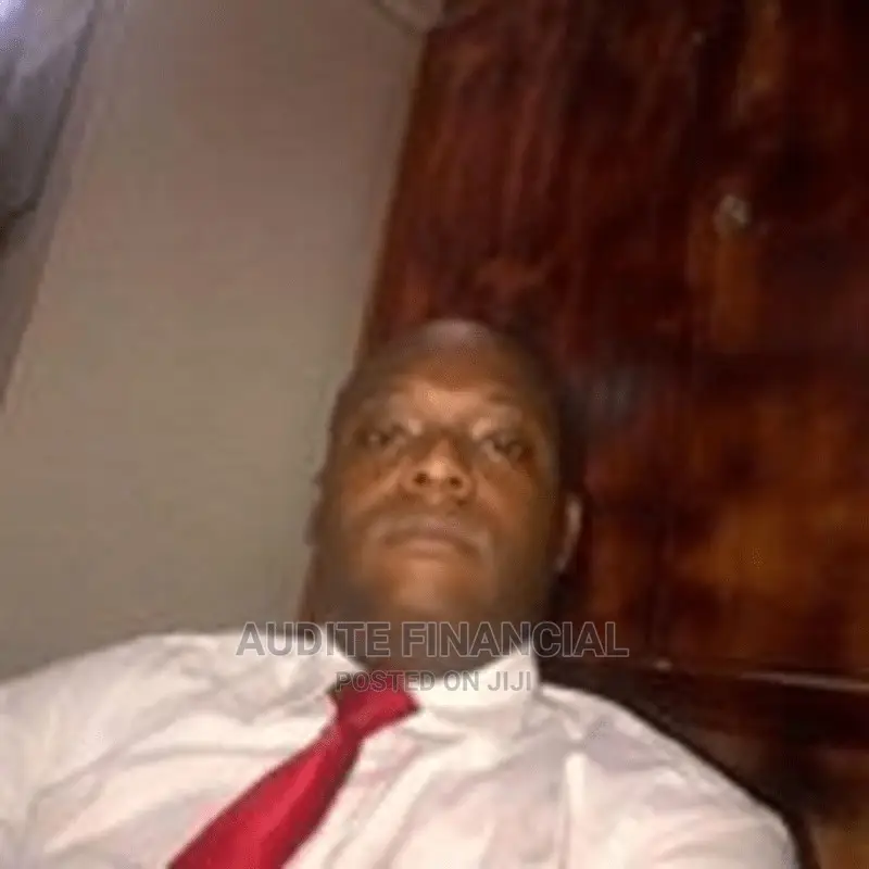 Experienced Accountant, Data Analyst, System Auditor and Marketer
