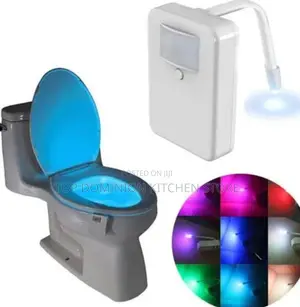 Toilet Light