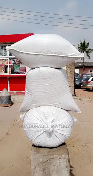 Snail Feeds