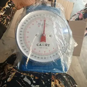 20kg Scale