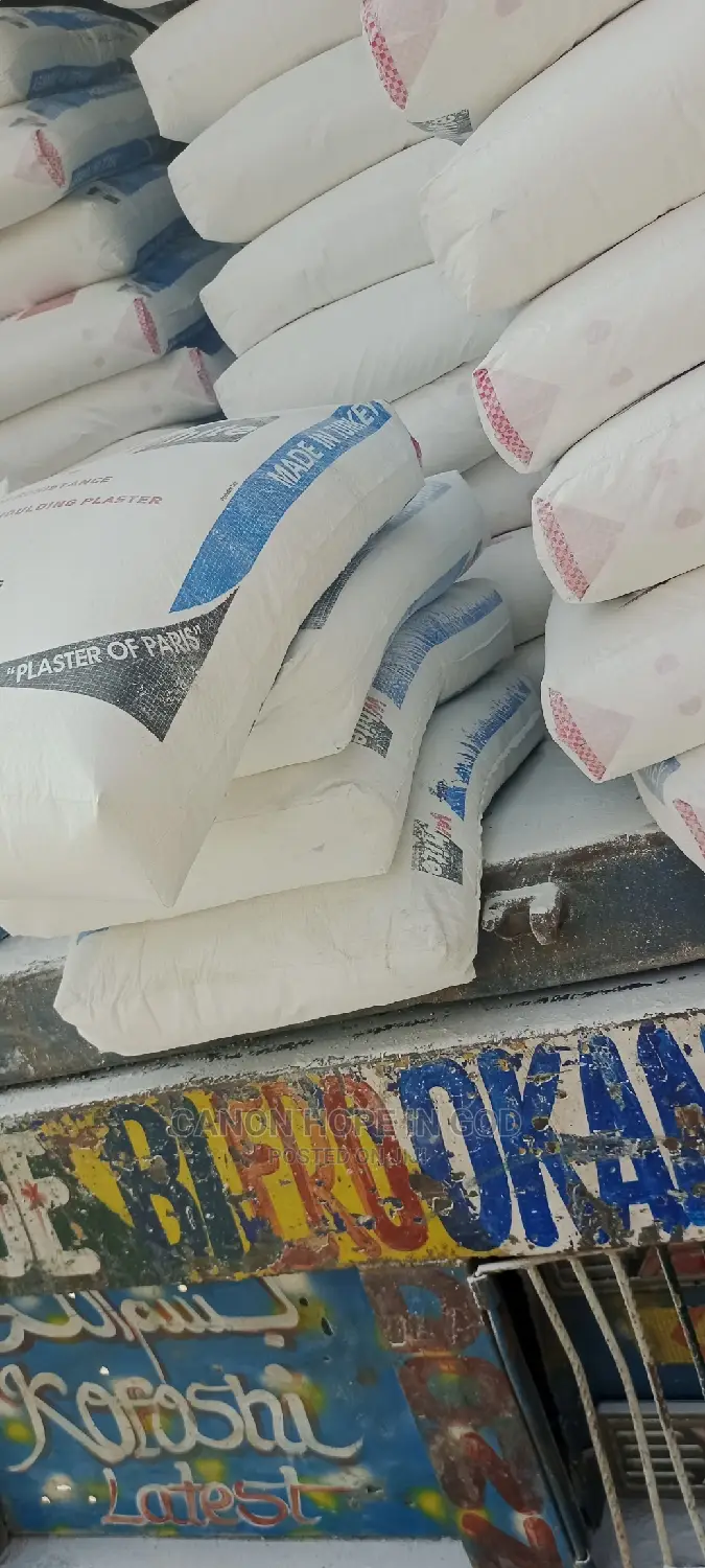 Snow White Turkey Pop Cement