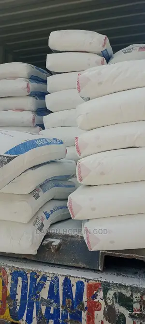 Snow White Turkey Pop Cement
