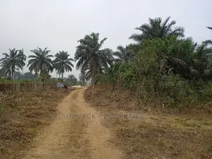For Sale: Plots of Land at Eneka Road, Portharcourt